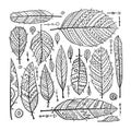 Art feathers collection, ornate sketch for your design