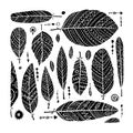 Art feathers collection, ornate sketch for your design