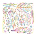 Art feathers collection, ornate sketch for your design