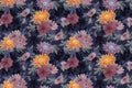 Art floral vector seamless pattern. Autumn pink, yellow, purple asters, chrysanthemums flowers Royalty Free Stock Photo