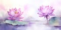 Art flower floral background lotus nature summer lily green water blossom Royalty Free Stock Photo