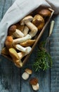 Art fresh forest porcini Mushroom in basket on the kitchen table