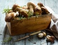 Art fresh forest porcini Mushroom on kitchen table