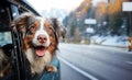 Art Funny cute dog looking out of the car window on the road. Winter travel with pets. Family trip on winter vacation