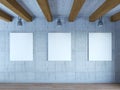 Art gallery in the loft interior with concrete wal