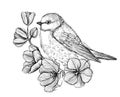 Art graphic illustration of a bird sitting on a branch with flowers, tattoo sketch