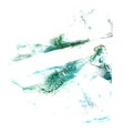 Art The green watercolor ink paint blob watercolour splash color