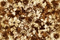Art grunge brown flower pattern background