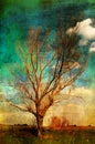 Art grunge landscape - lonely tree on the meadow Royalty Free Stock Photo