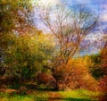 Art grunge landscape showing colorful wild forest