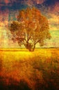 Art grunge landscape showing lonely tree on meadow in summer