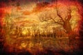 Art grunge landscape spooky forest in spring Royalty Free Stock Photo