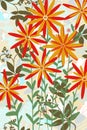 Abstract floral background of artistic flat flower red orange daisy garden for fall art background