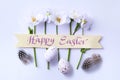 Art Happy Easter Day card; Decorated  Easter Eggs and Spring Flowers  on White Background; Holiday banner design Royalty Free Stock Photo