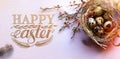 Art Happy Easter risen;  Easter eggs, Spring Flowers and bird feather on blue background; Holiday Easter banner or greeting card Royalty Free Stock Photo