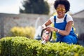 The Art of Hedge Trimming: Afro-American Gardener Crafting Green Masterpieces with Precision Royalty Free Stock Photo