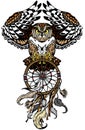 Owl with dreamcatcher Royalty Free Stock Photo