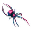 Colorfull beautifull spider vector art illustration