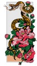 Snake and peony flower. Illustration Royalty Free Stock Photo