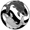 Two koi carp fishes. Yin Yang symbol