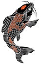 Black and red Japanese koi carp fish