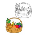 Fruit basket doodle vector with black and colorful design
