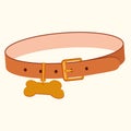 A brown leather dog collar with a gold buckle and a badge for the name in bone shape. Royalty Free Stock Photo