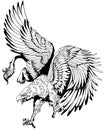 Flying griffin or griffon. Black and white