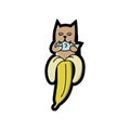 Cute half banana cat Royalty Free Stock Photo