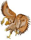 Flying griffin or griffon. Isolated vector