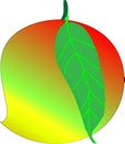 Mango with leaf vector or illustration Art Illustration Royalty Free Stock Photo