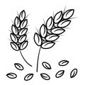 Wheat ears black outline isolated on white background Royalty Free Stock Photo