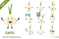 Cartoon illustration of cute garlic vegetable poses set.