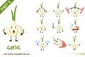 Cartoon illustration of cute garlic vegetable poses set.