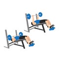 Man doing decline barbell bench press flat vector illustration Royalty Free Stock Photo