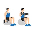 Man doing exercise Swiss ball bicep curls with dumbbell.