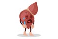 Vector Graphic Illustration of Liver