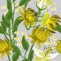 Different yellow flowers on a grey background .Seamless floral pattern.