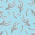 Blooming pussy willow seamless pattern. Vector illustration of spring flowers