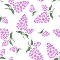 Blooming lilac branches seamless pattern. Spring flowers Royalty Free Stock Photo