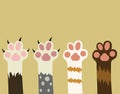 Cats paws cats friends community