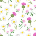 Botanical background with summer wild flowers and herbs. Milk thistle, chamomile and clover seamless pattern. Royalty Free Stock Photo