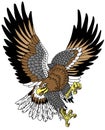 Stylized Japanese eagle. Tattoo style vector Royalty Free Stock Photo