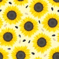 Sunflower plant and seeds on yellow background. Seamless pattern with blooming sunflowers. Royalty Free Stock Photo