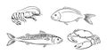 Seafood black and white outline. Vector illustration of dorado, shrimp, crab and mackerel.