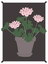 Hand drawn geranium pink flower