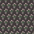 Seamless pattern geranium pink flower