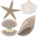Undersea world. Starfish, seashells, pearls in the shell. Vector, clipart.