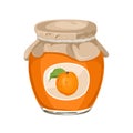 Apricot jam in lass jar isolated. Royalty Free Stock Photo