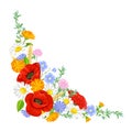 Summer wildflowers, herbs and ears of wheat angled vector frame. Floral corner, border.